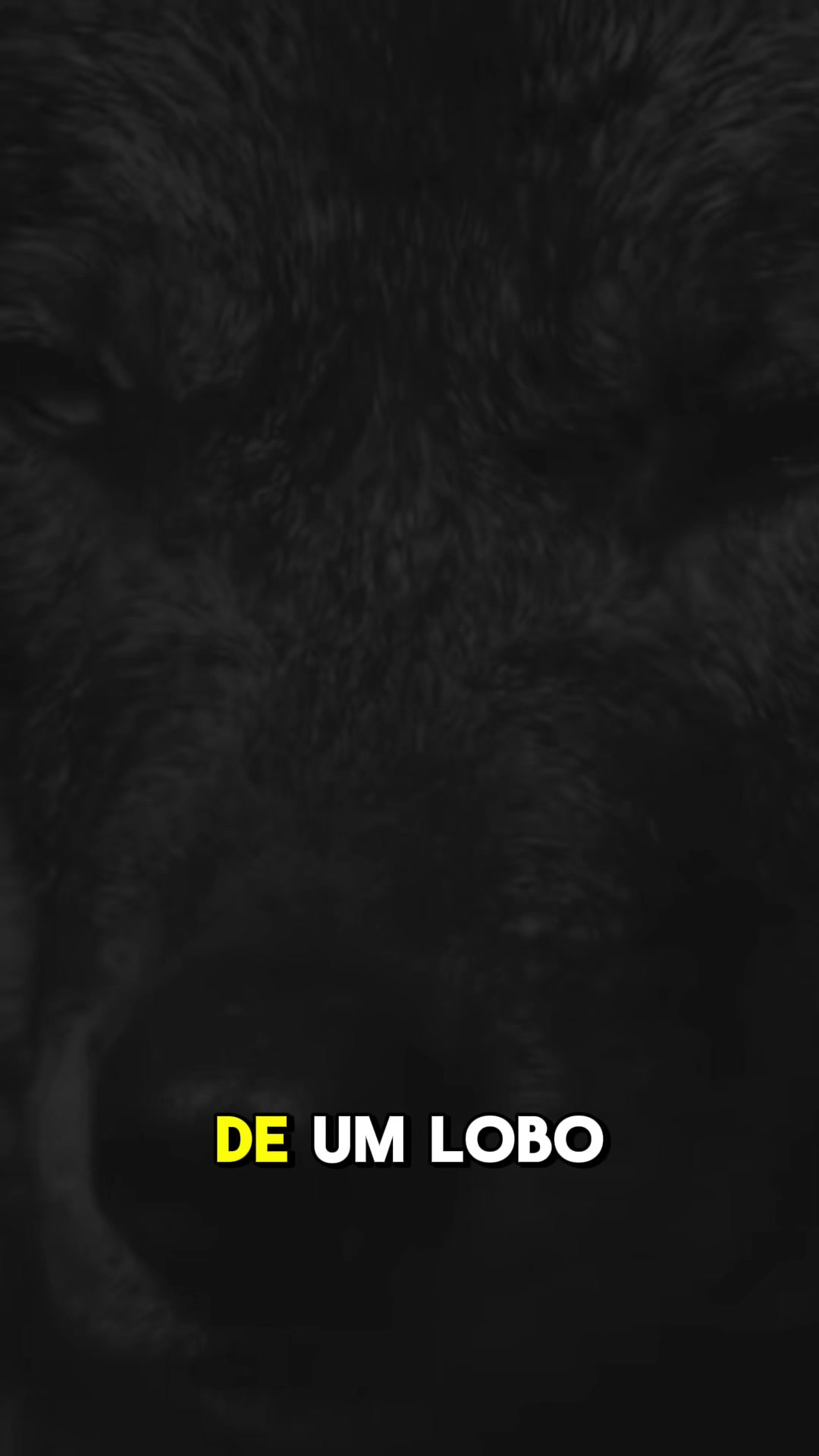 @🐺_&Oslash;Ⱡ&Oslash;฿&Oslash;_🐺