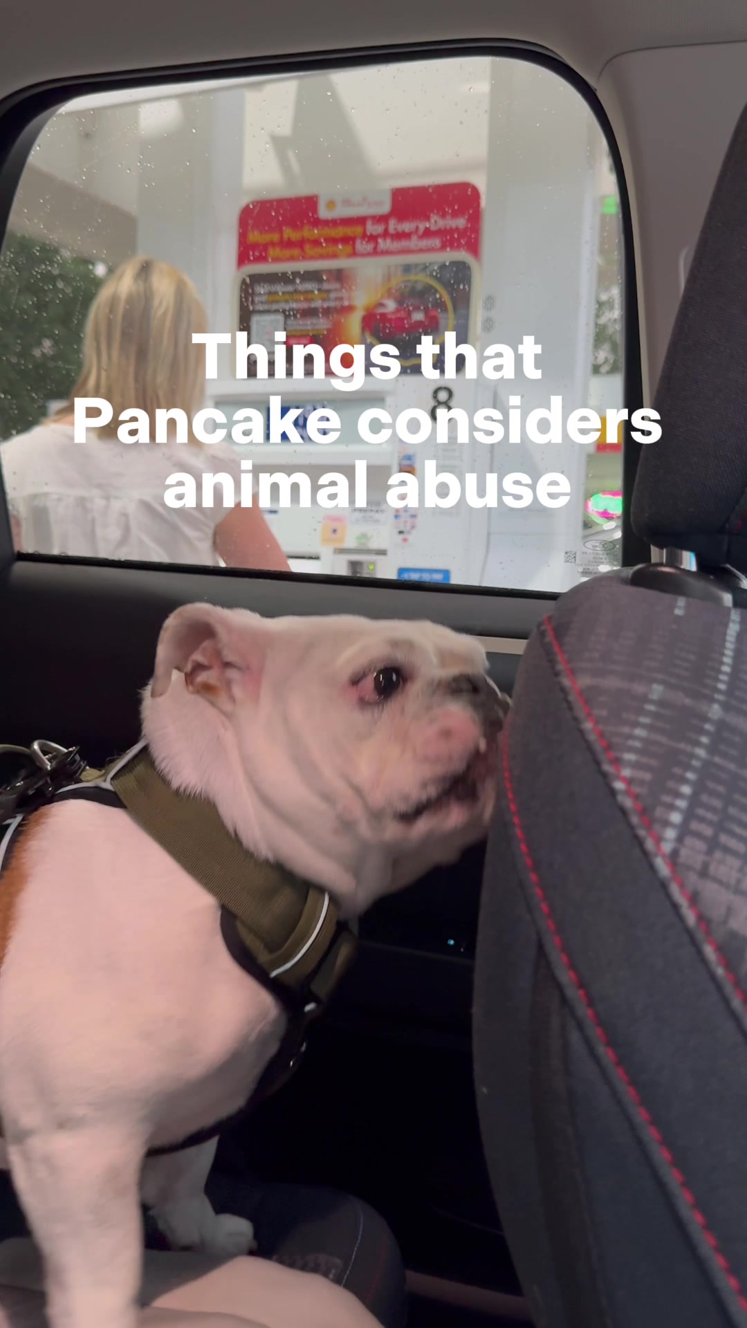 @Pancake 🥞