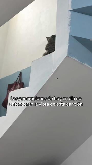 @Sheeran Facundo