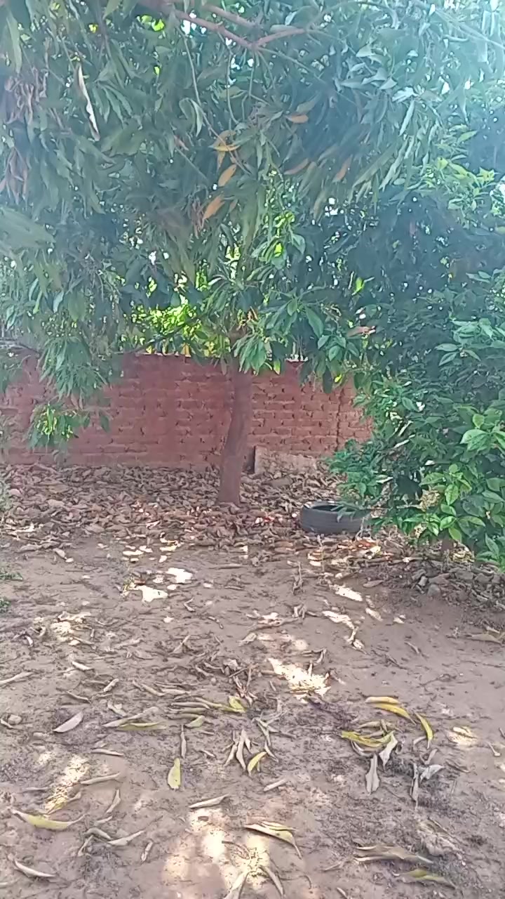 @Mai kutuza