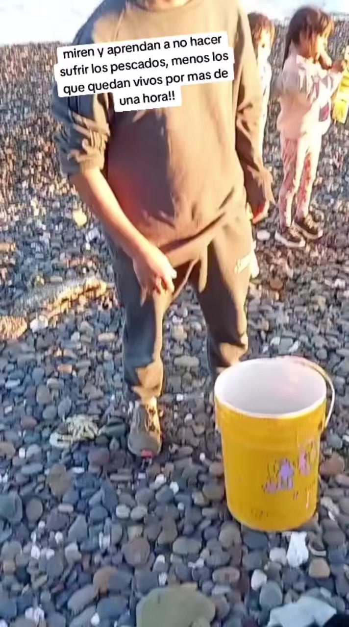 @El flaco