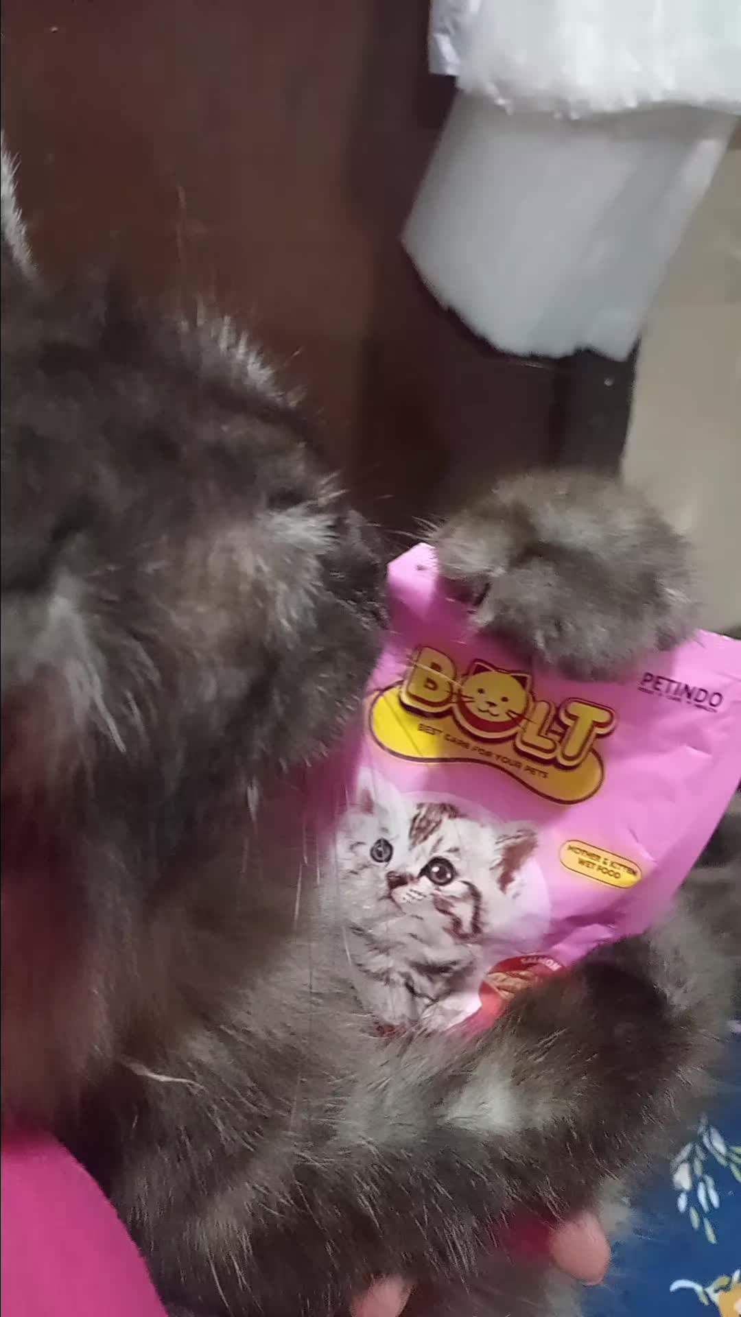 @Mocha, Mochi & Bang Belang