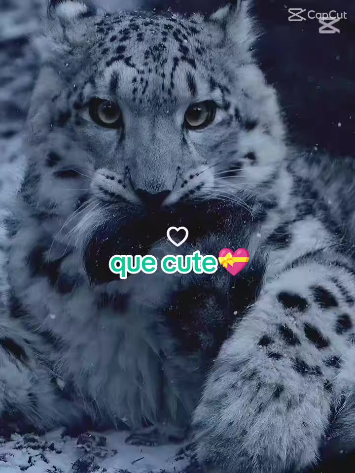 @Soy Nahimi🧸🩷