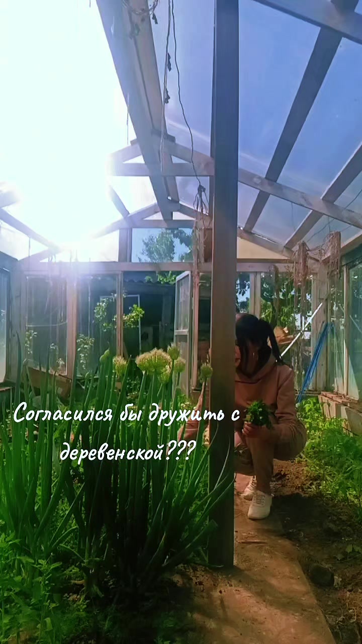@Elena_vlg@@@