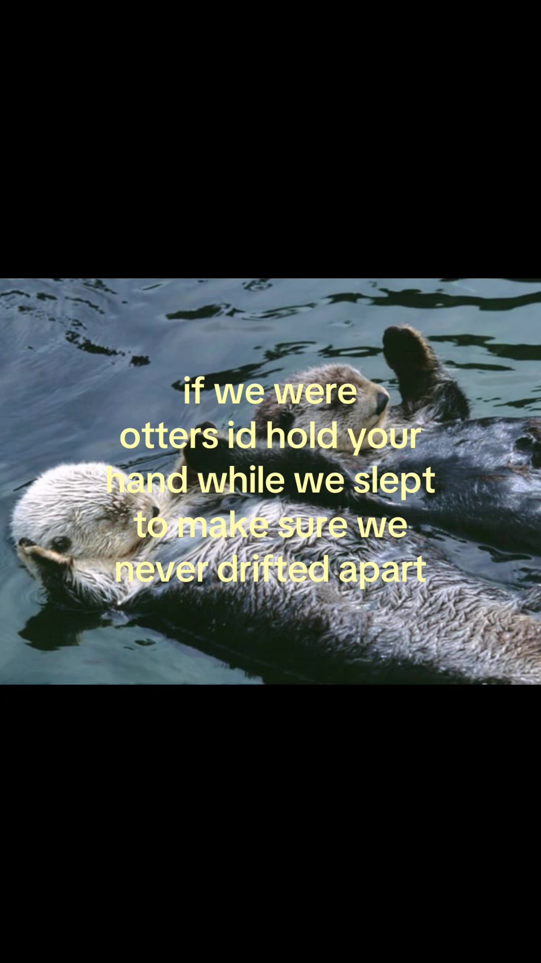 @rwnd