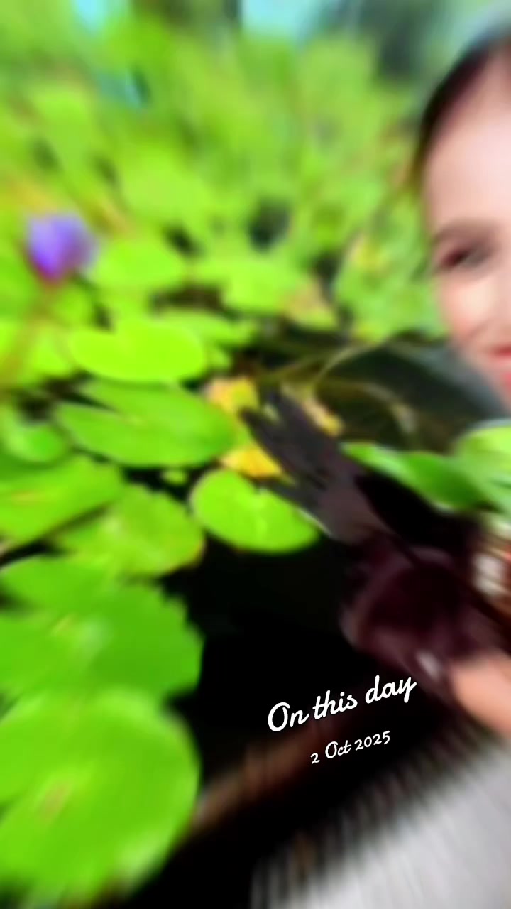 @Mercy🥰The Healler🌹