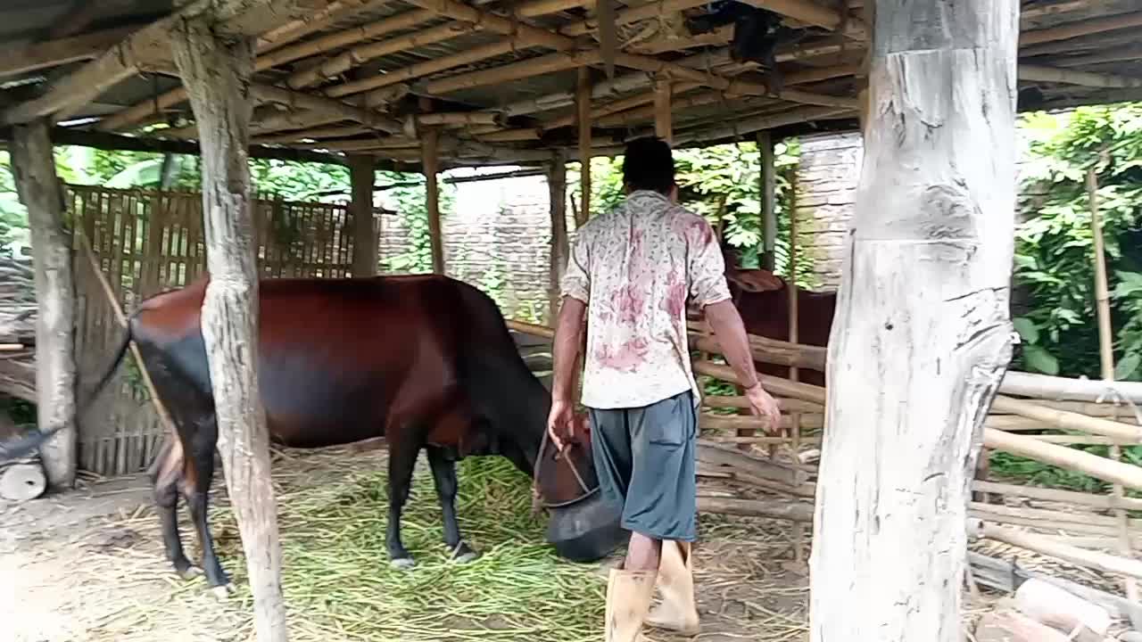 @Gobinda