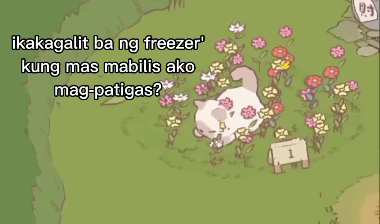 @blayzen.