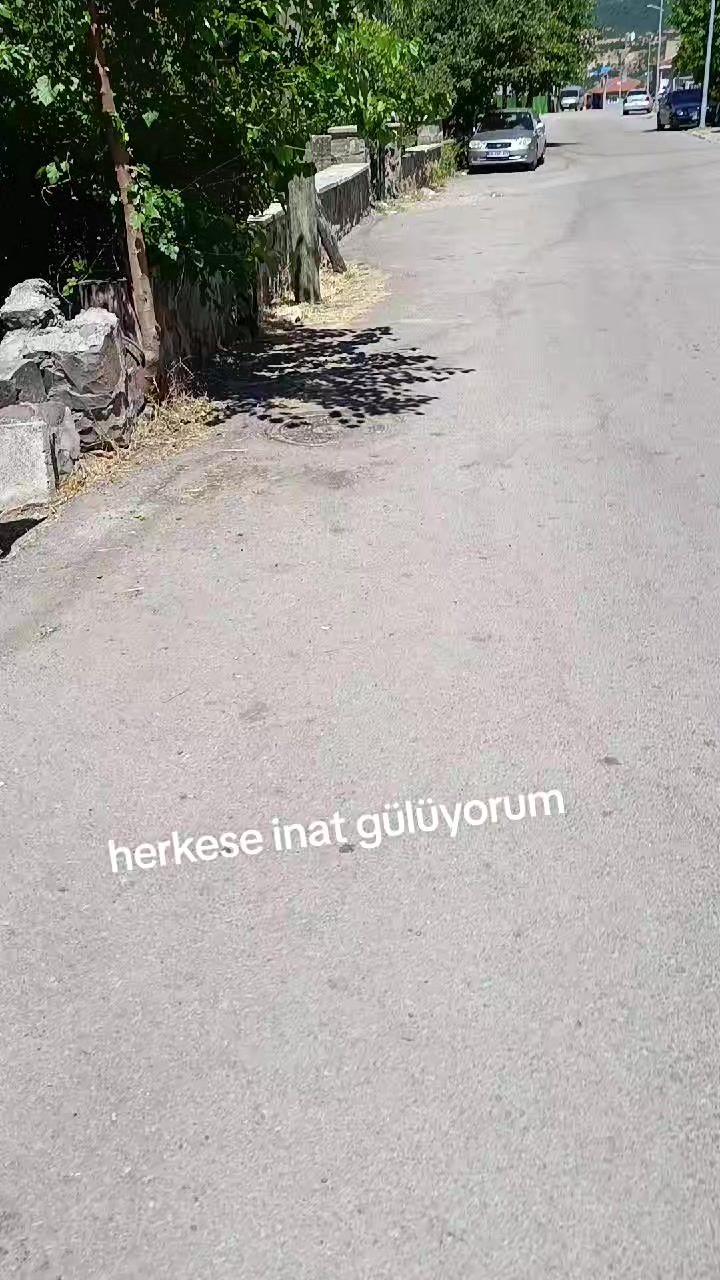 @zalimin kızı 06