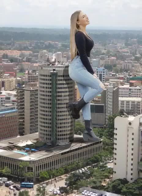 @AI-Giantess fyp