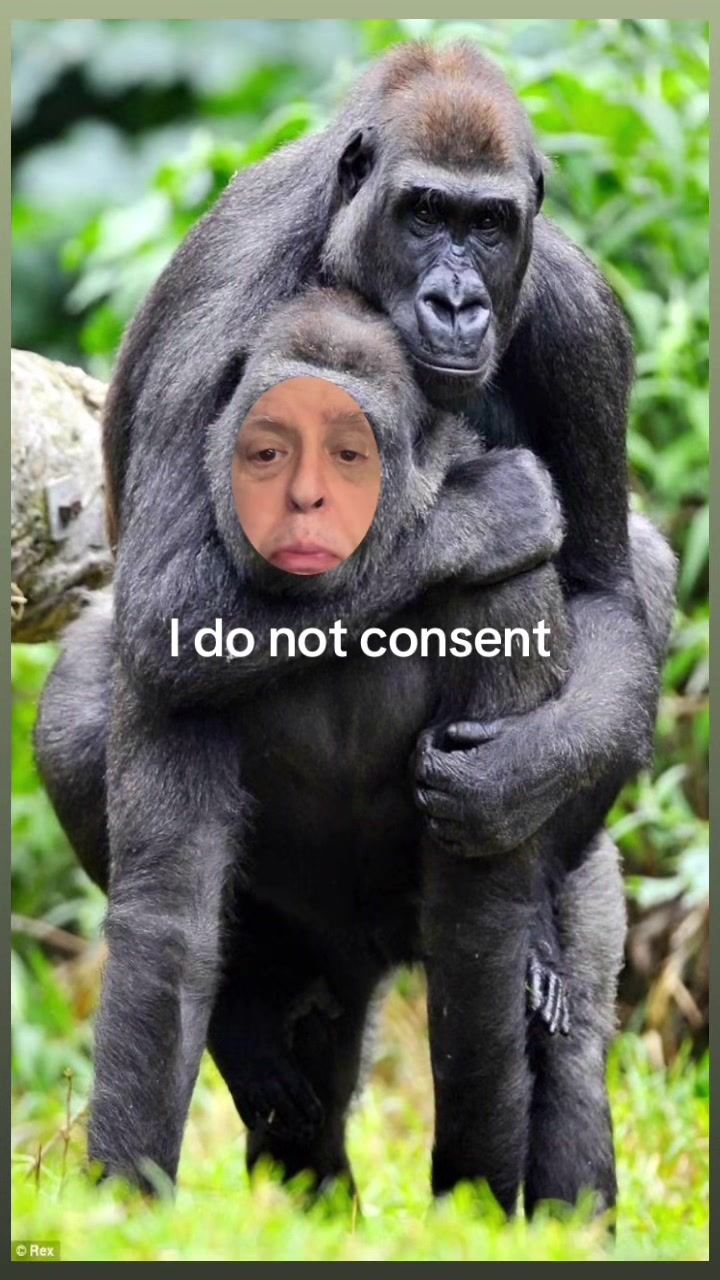 @Al Berman