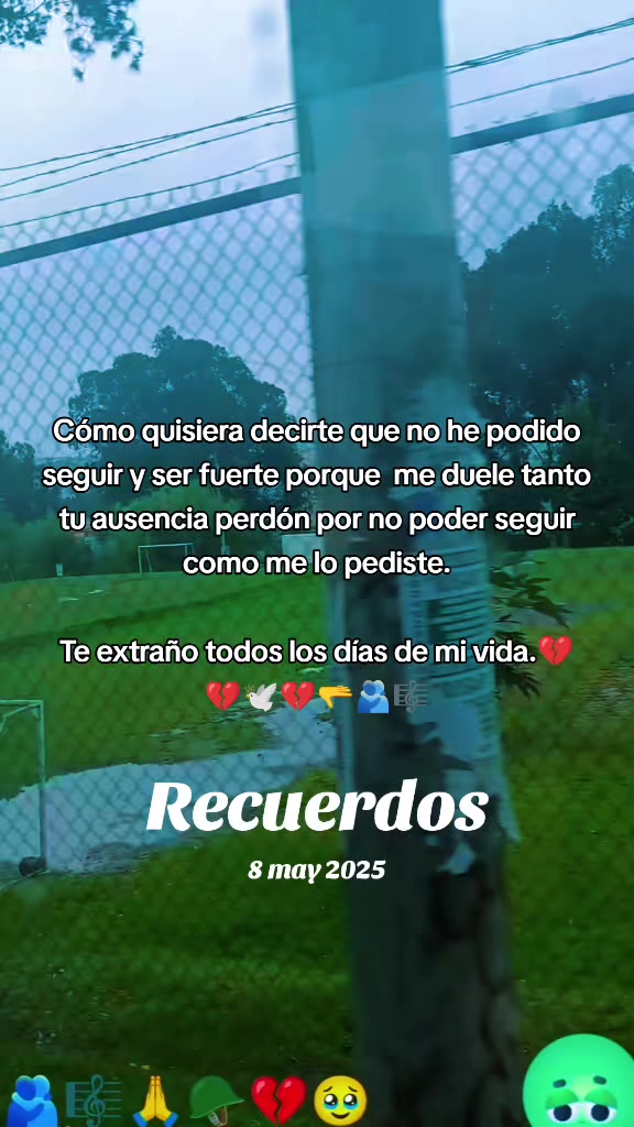 @Carmencita Cordero te sigue💃