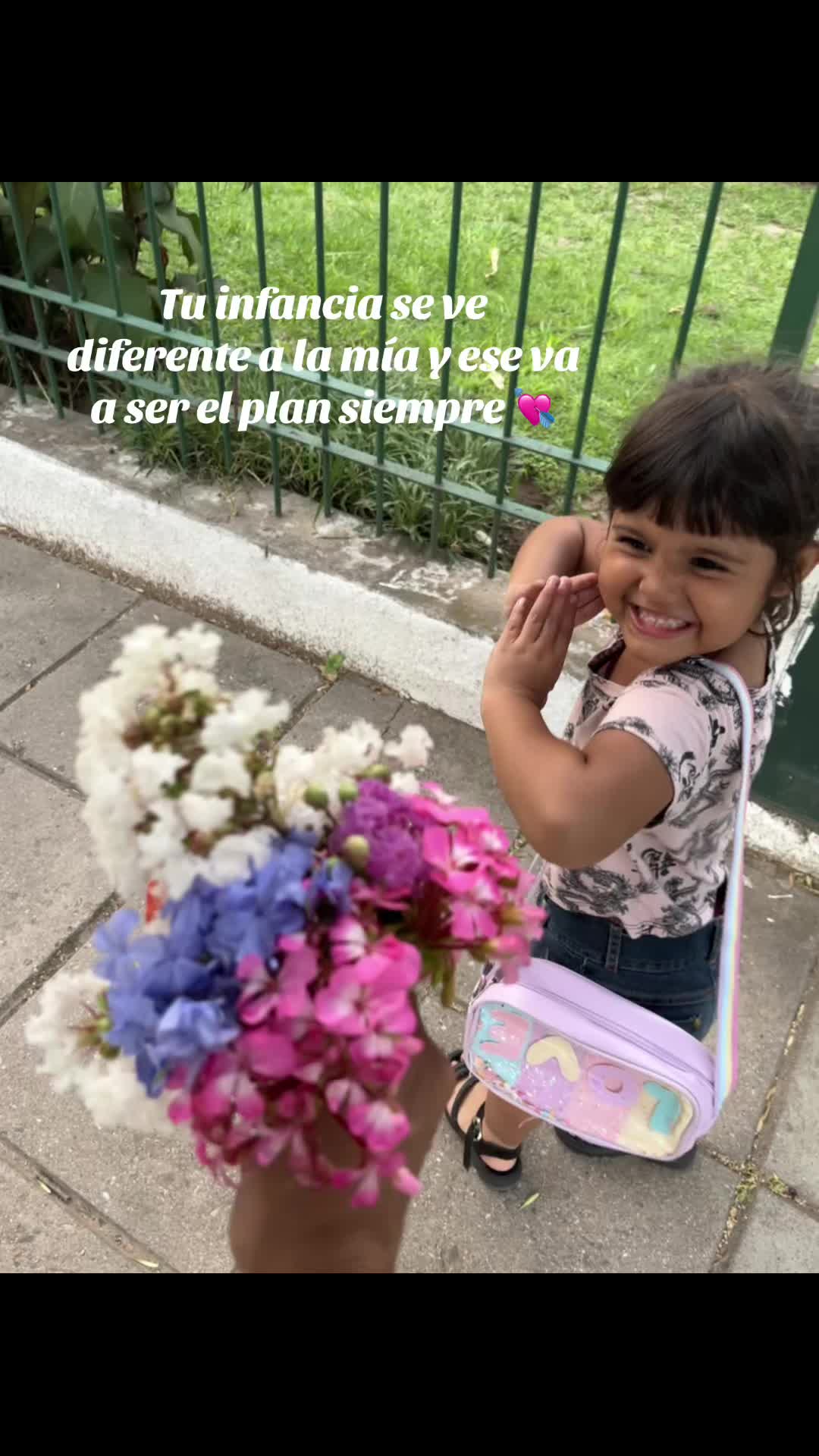 @Aimara.