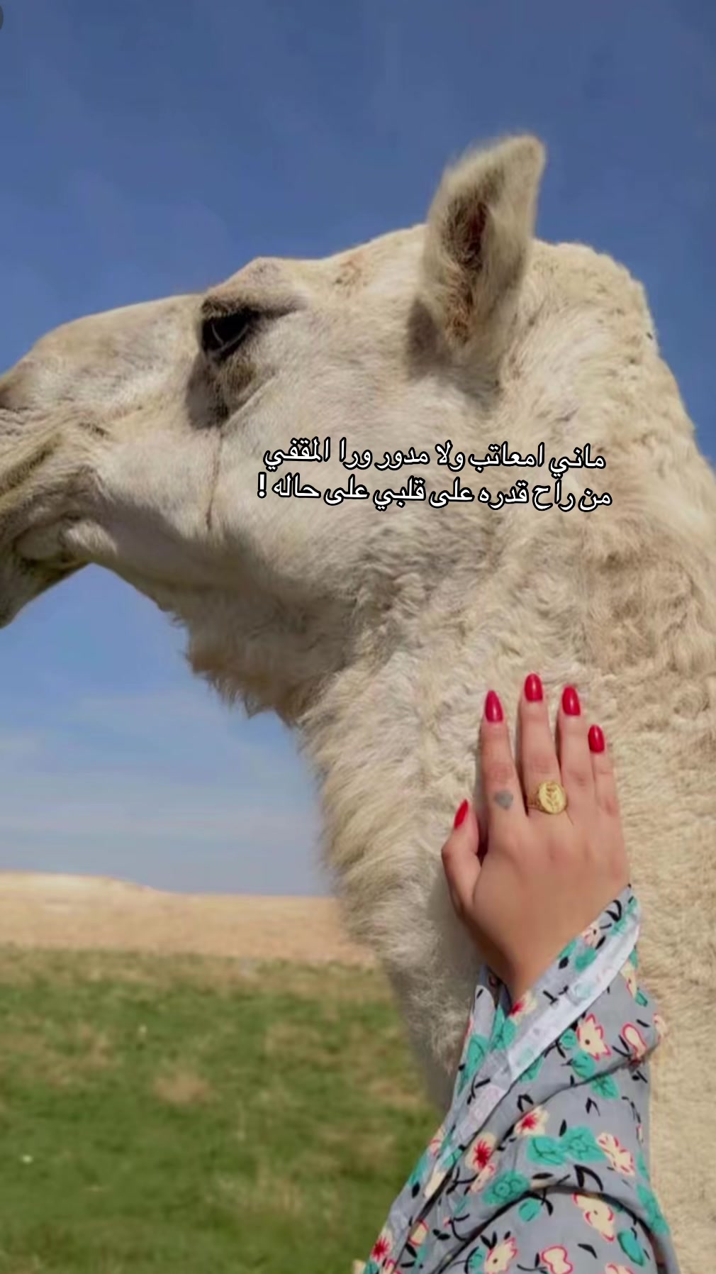 @تهاني&ensp;العنزي 🐎📸&hearts;️.