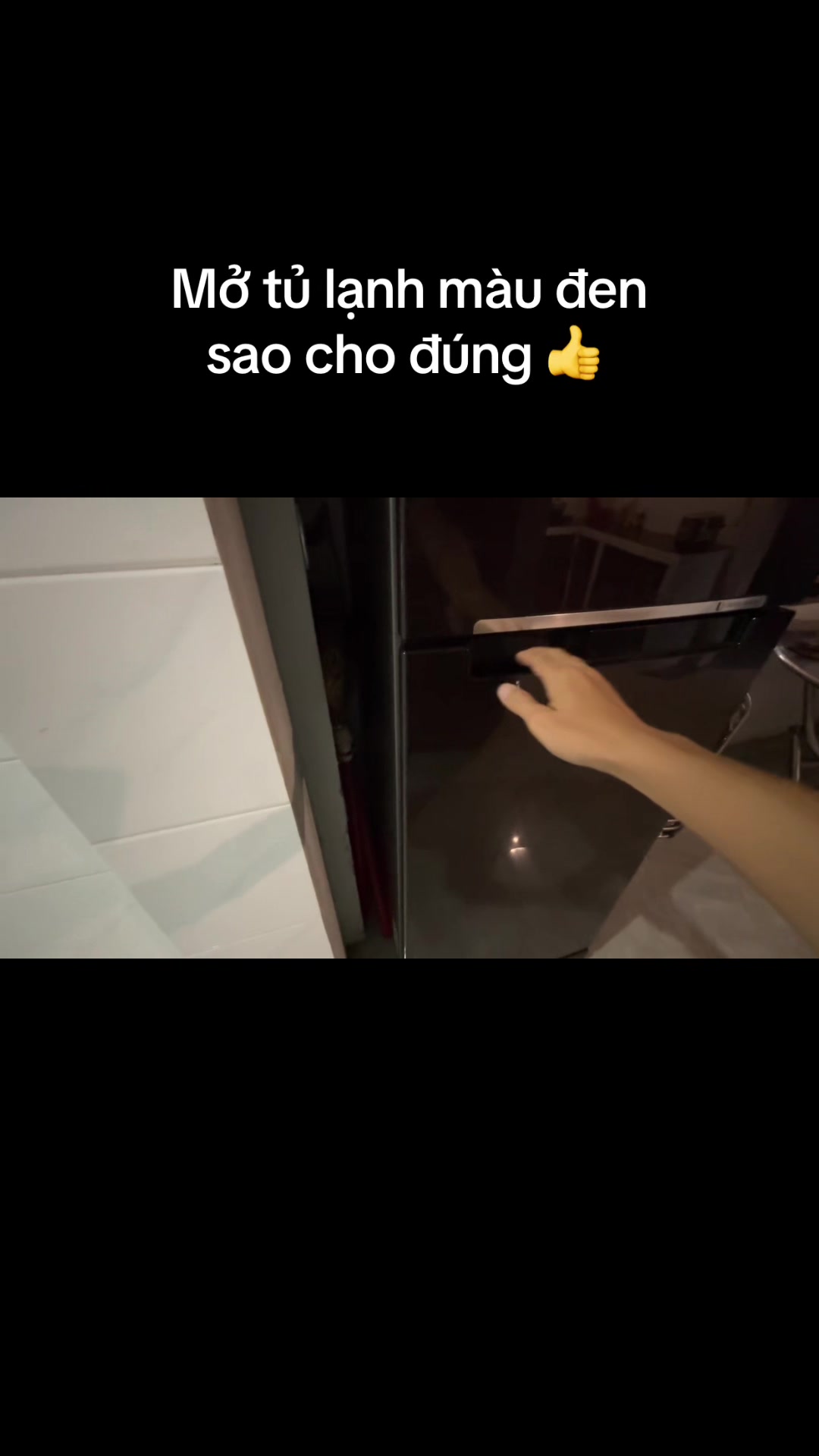 @Mèo thông thái