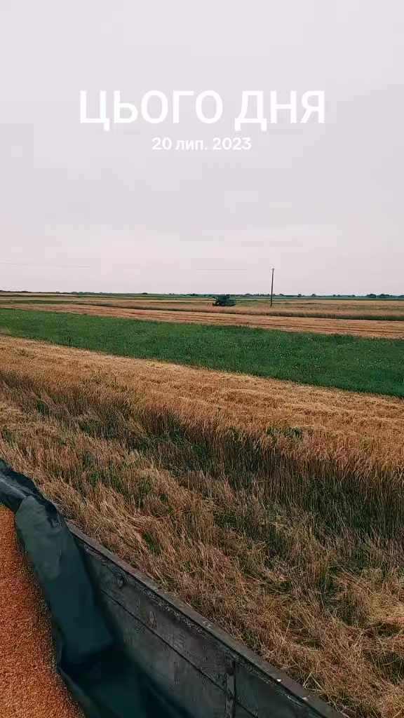 @olegtruten