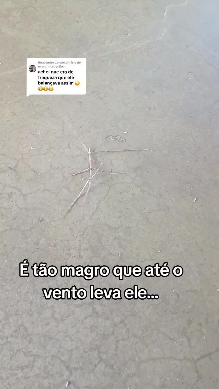 @Amante da natureza