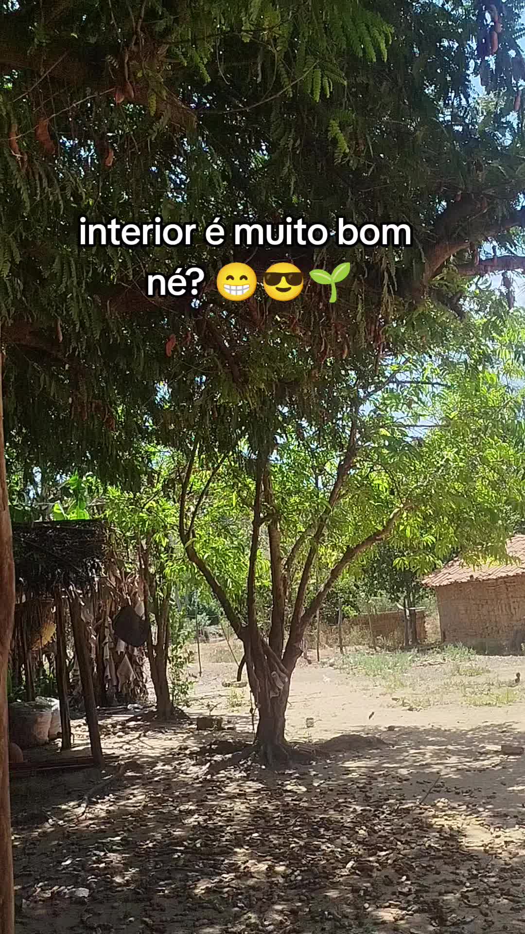 @Mauricelia Sousa 🌻💟