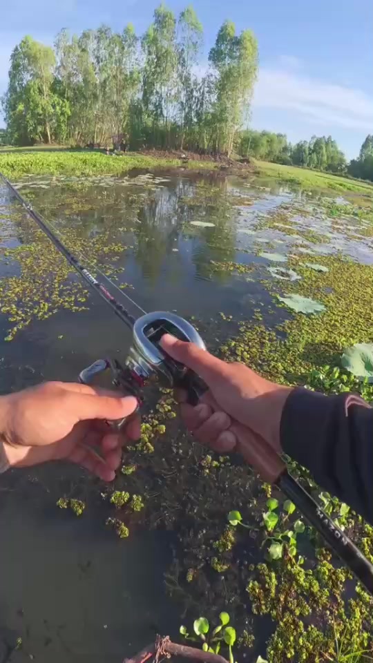 @HAZON TACKLE
