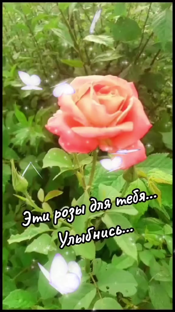 @Марина 🌹