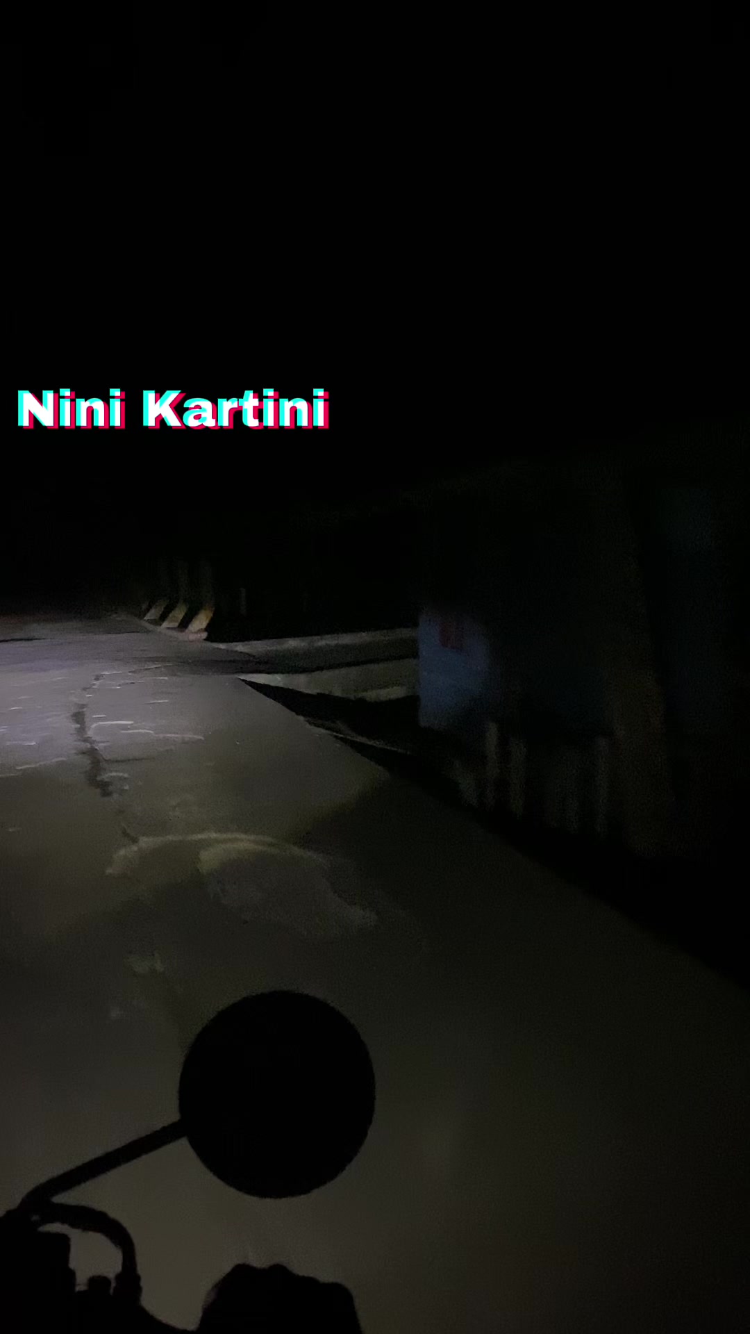 @Nini Kartini