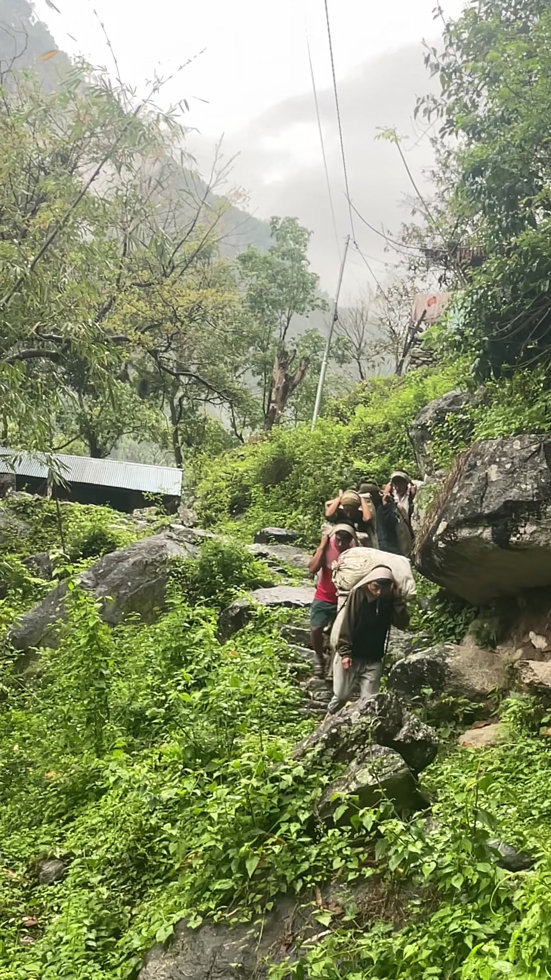 @नखावा कृषि