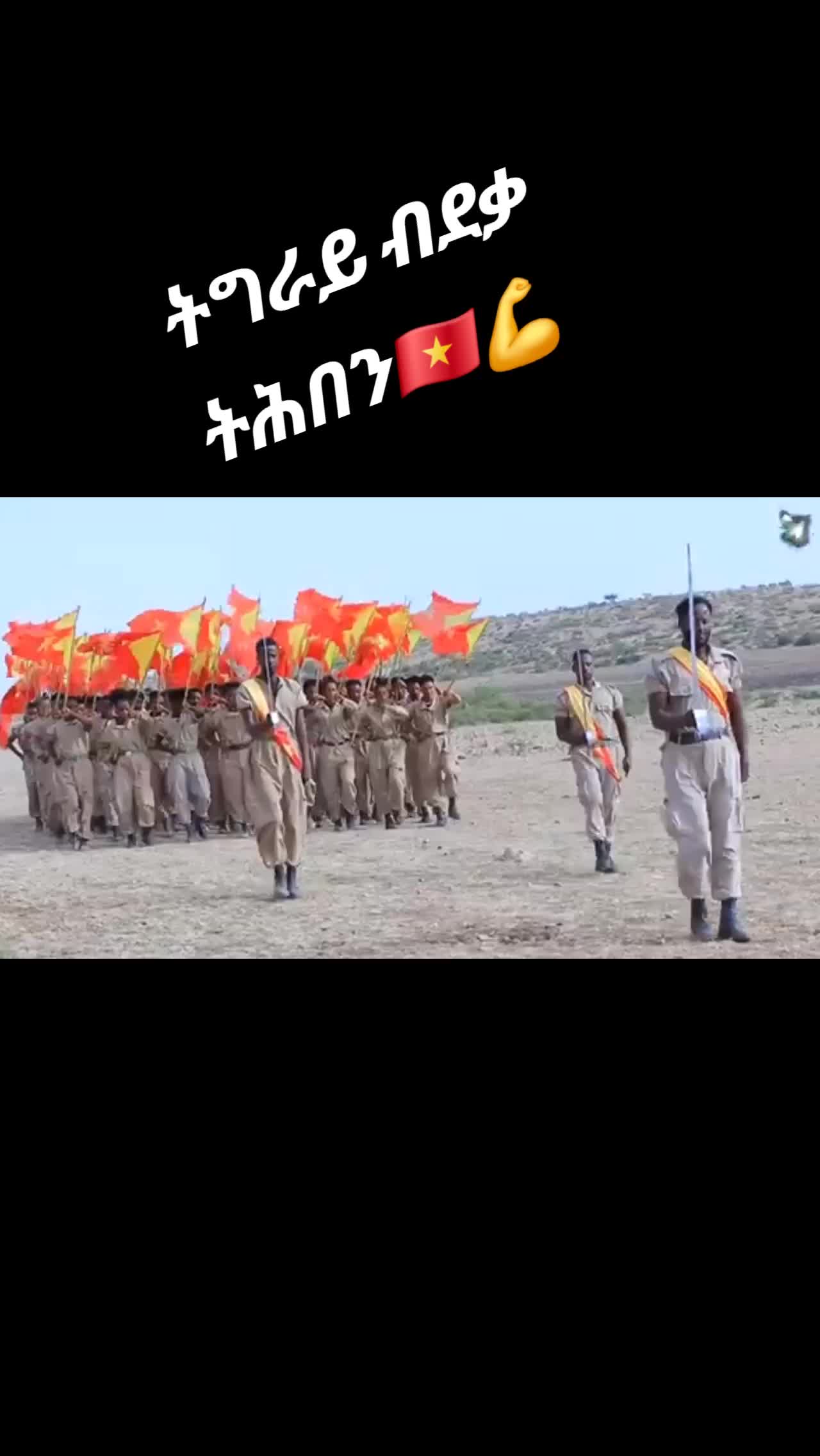 @Domonikt.d.f