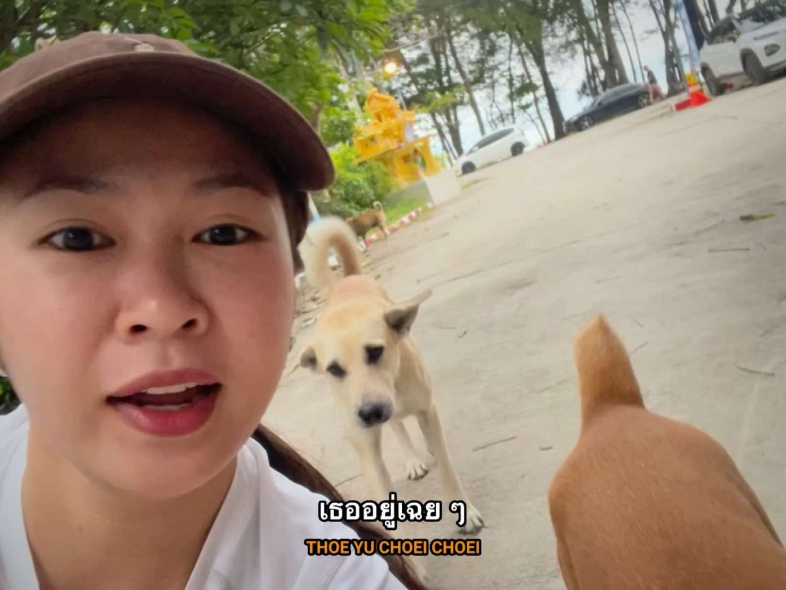 @พอแอนอ
