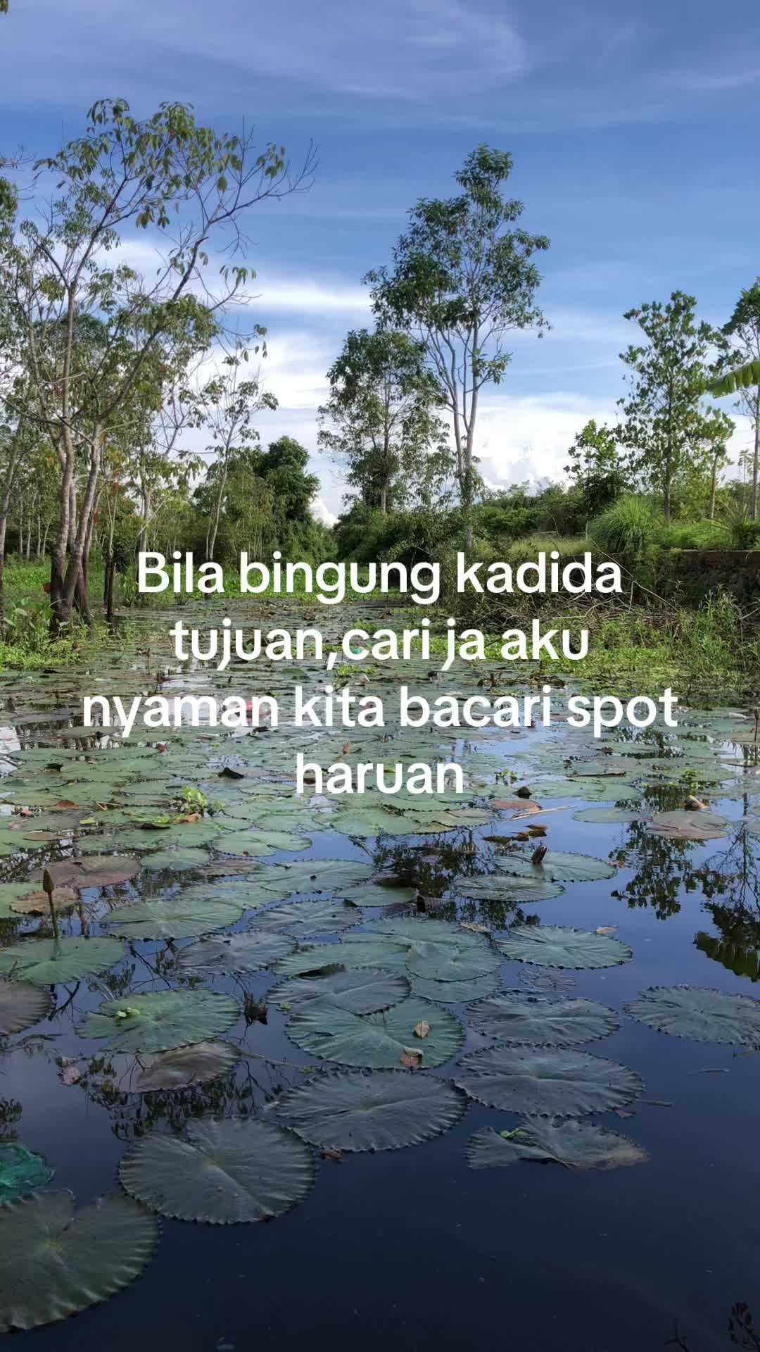 @Hayau tarus