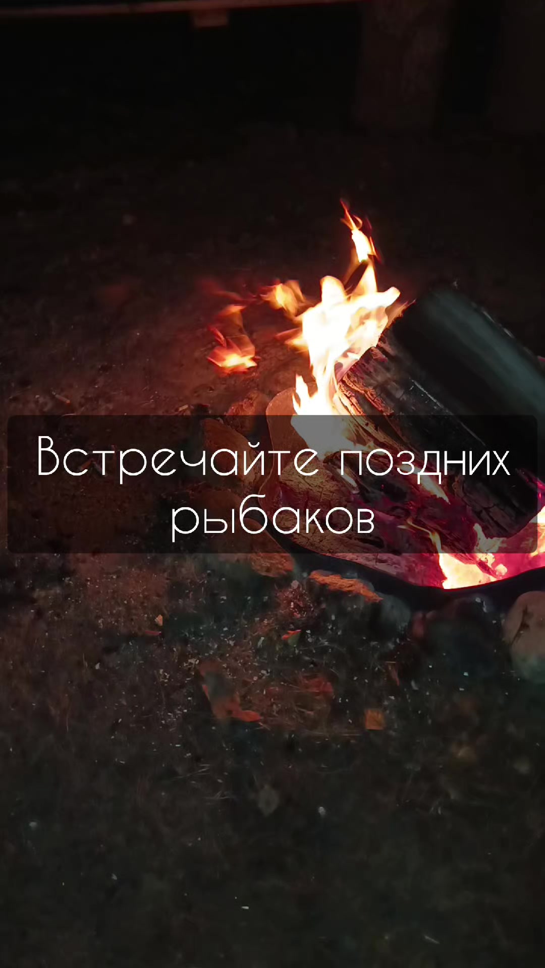 @𝐑𝐘𝐁𝐀𝐋𝐊𝐀_𝐁𝐘_𝐓𝐔𝐓