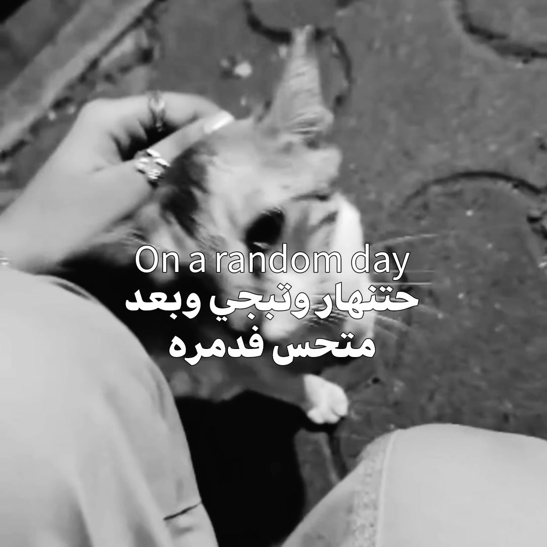 @اش توه جروحي نامت