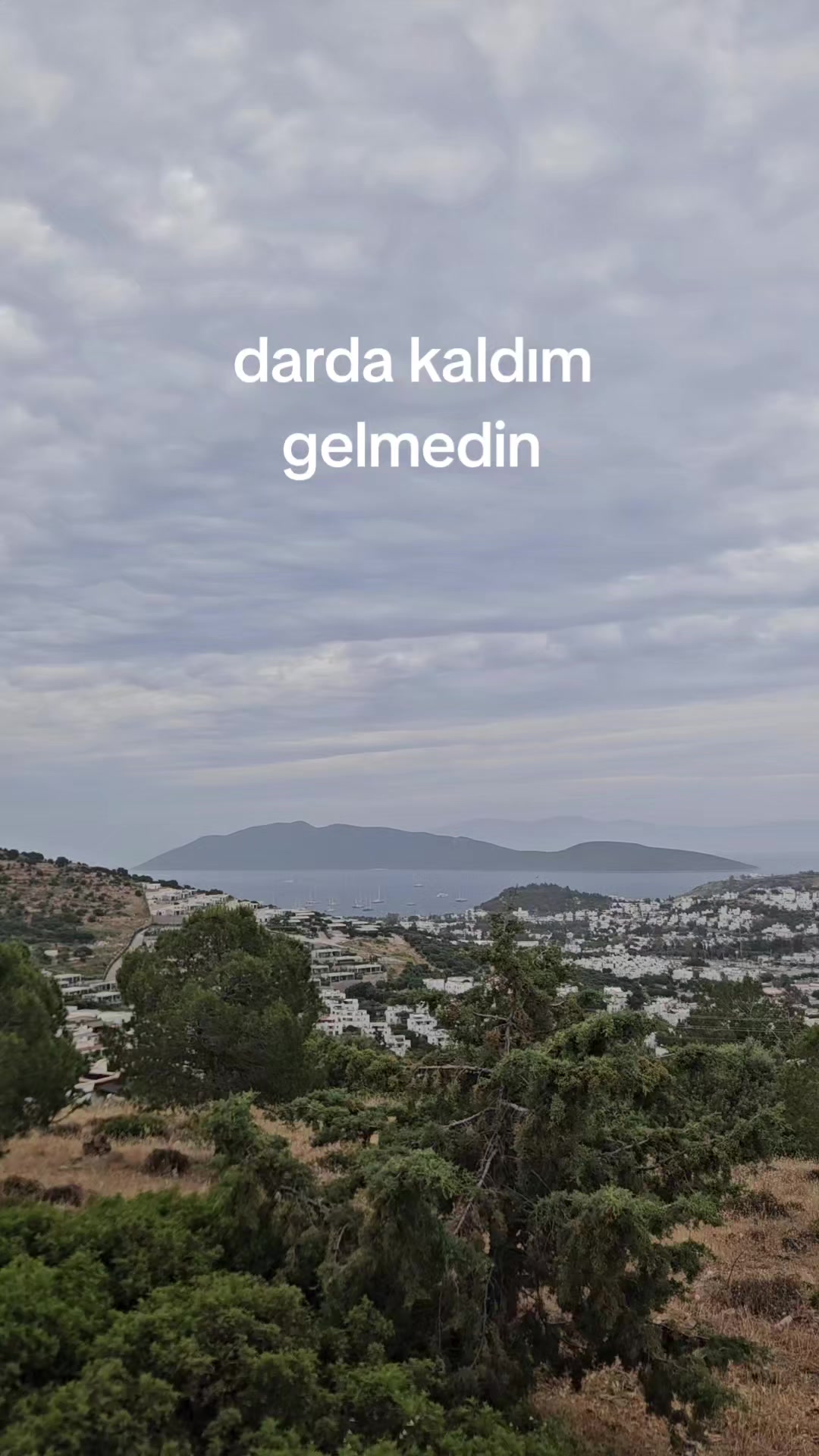 @bodrumkafası