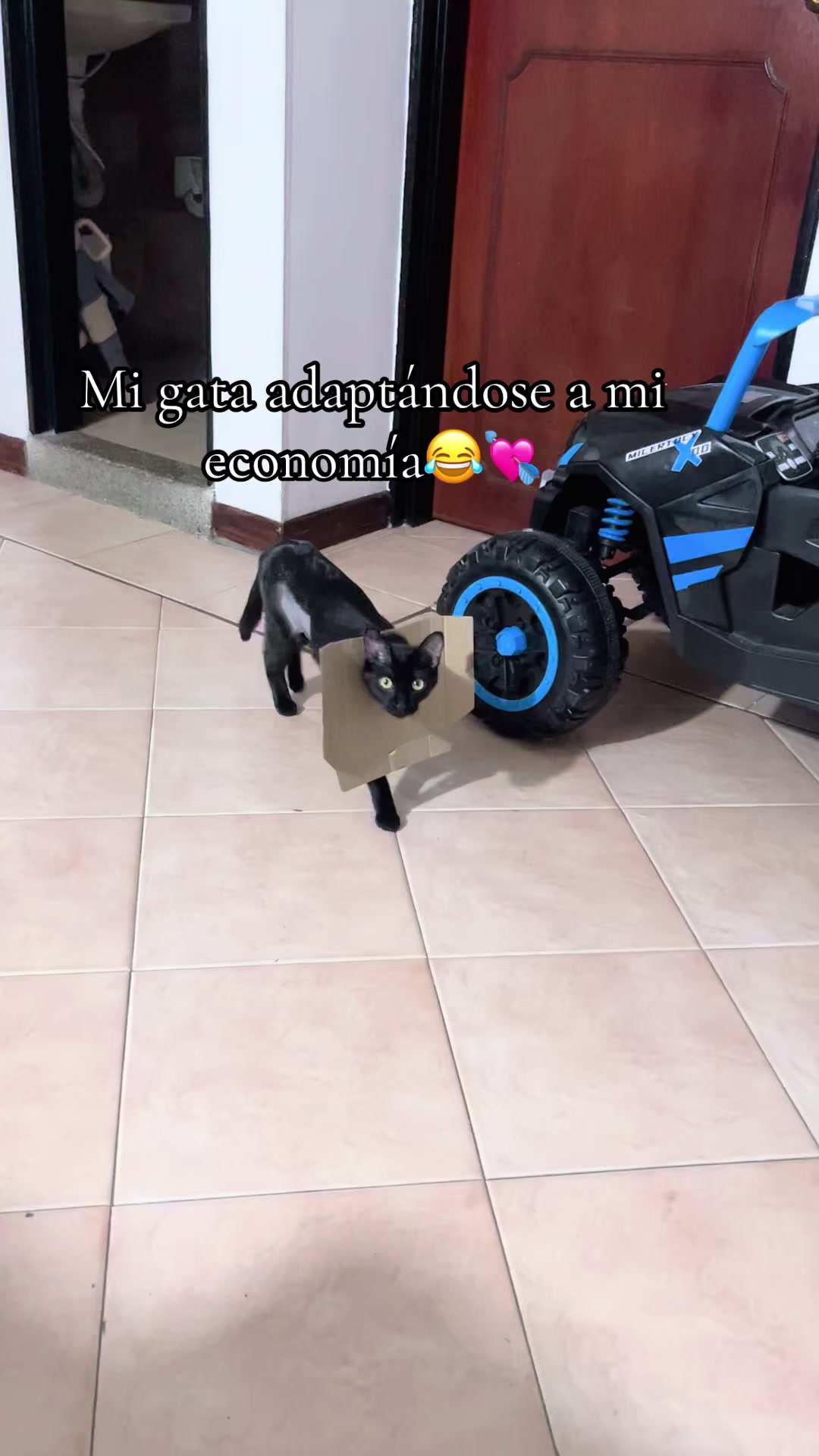 @Paola Cediel