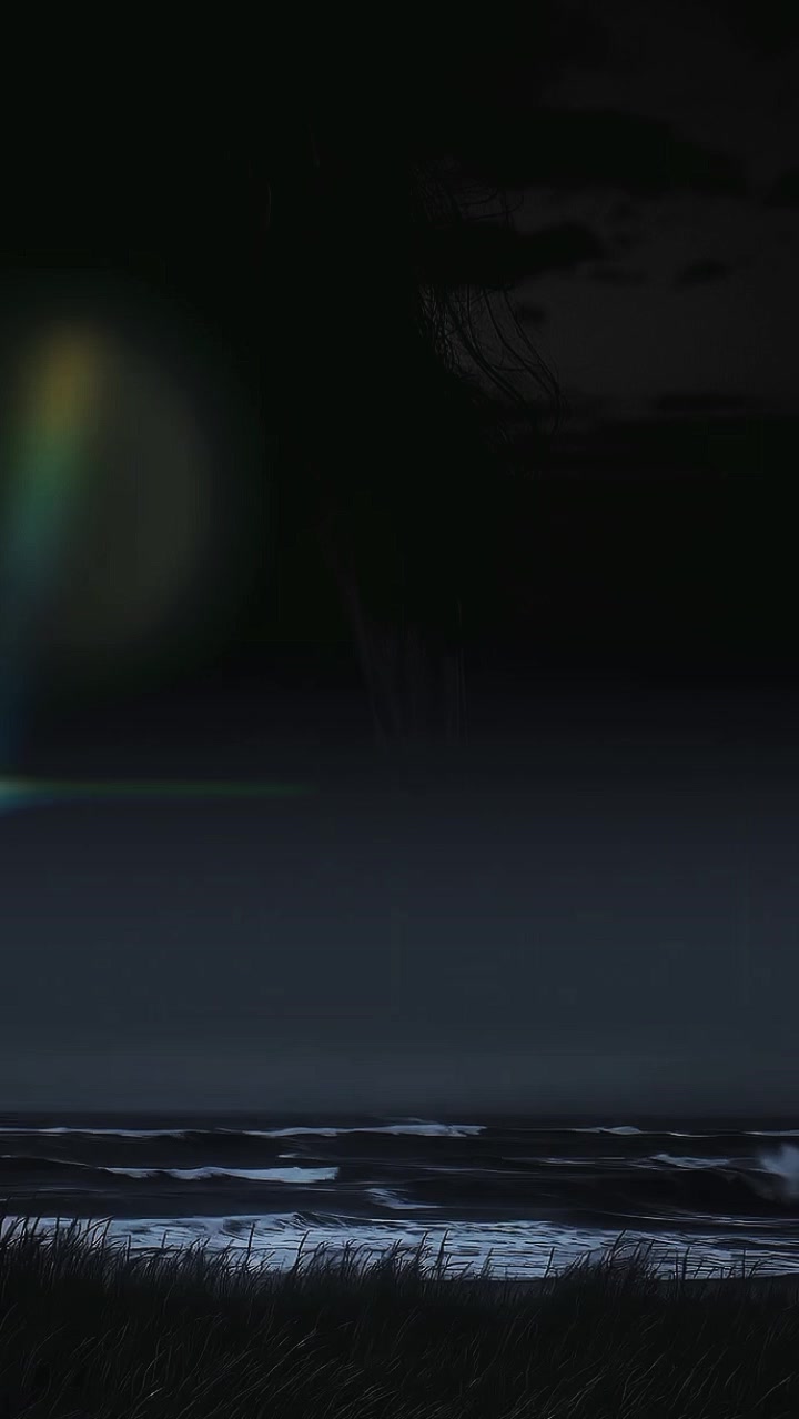 @阿迪&middot;普特拉