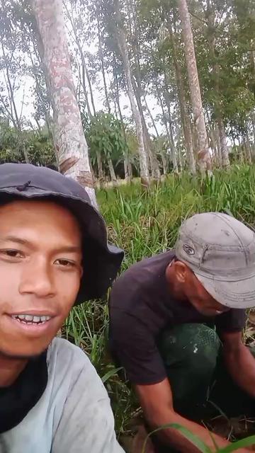 @ali mahesa