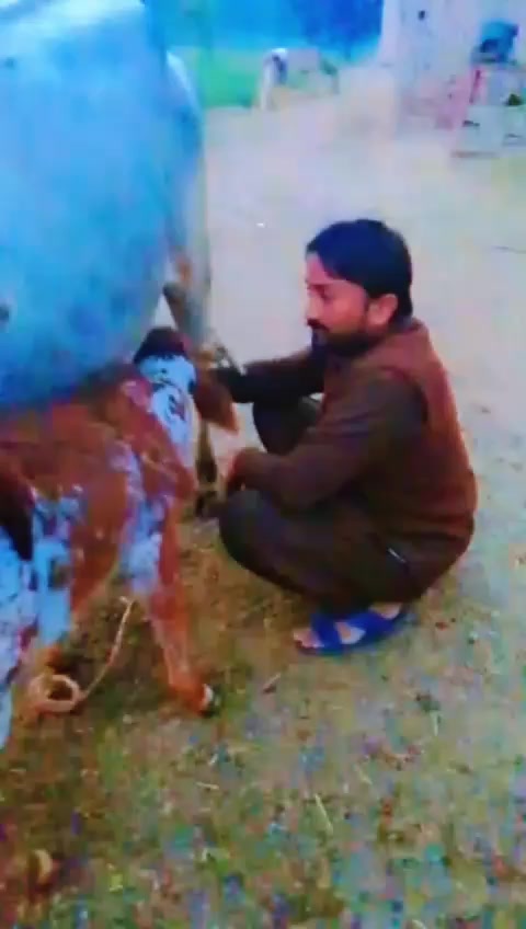 @naya Pakistan