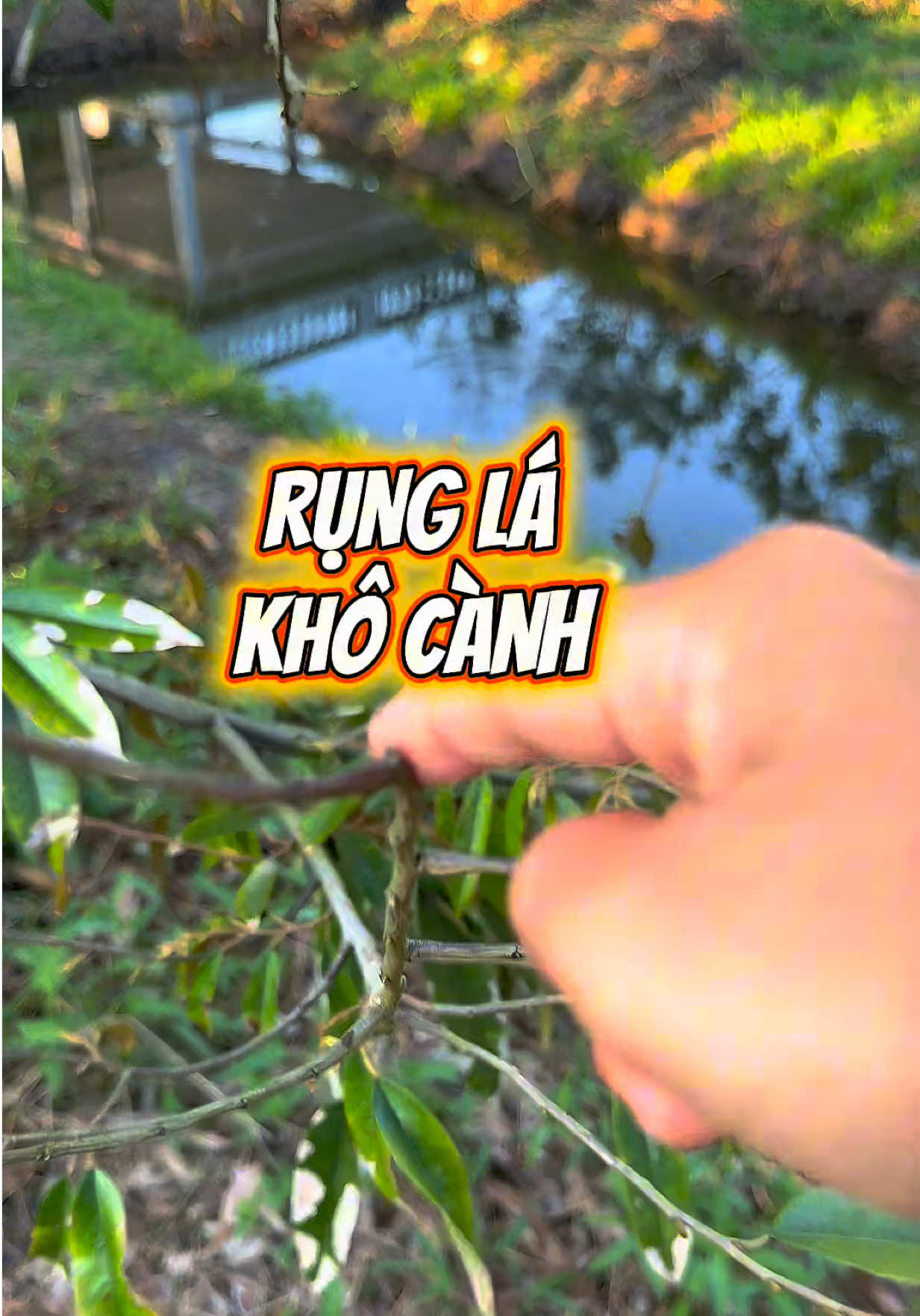 @Hộ Kinh Doanh Hào - Hưng