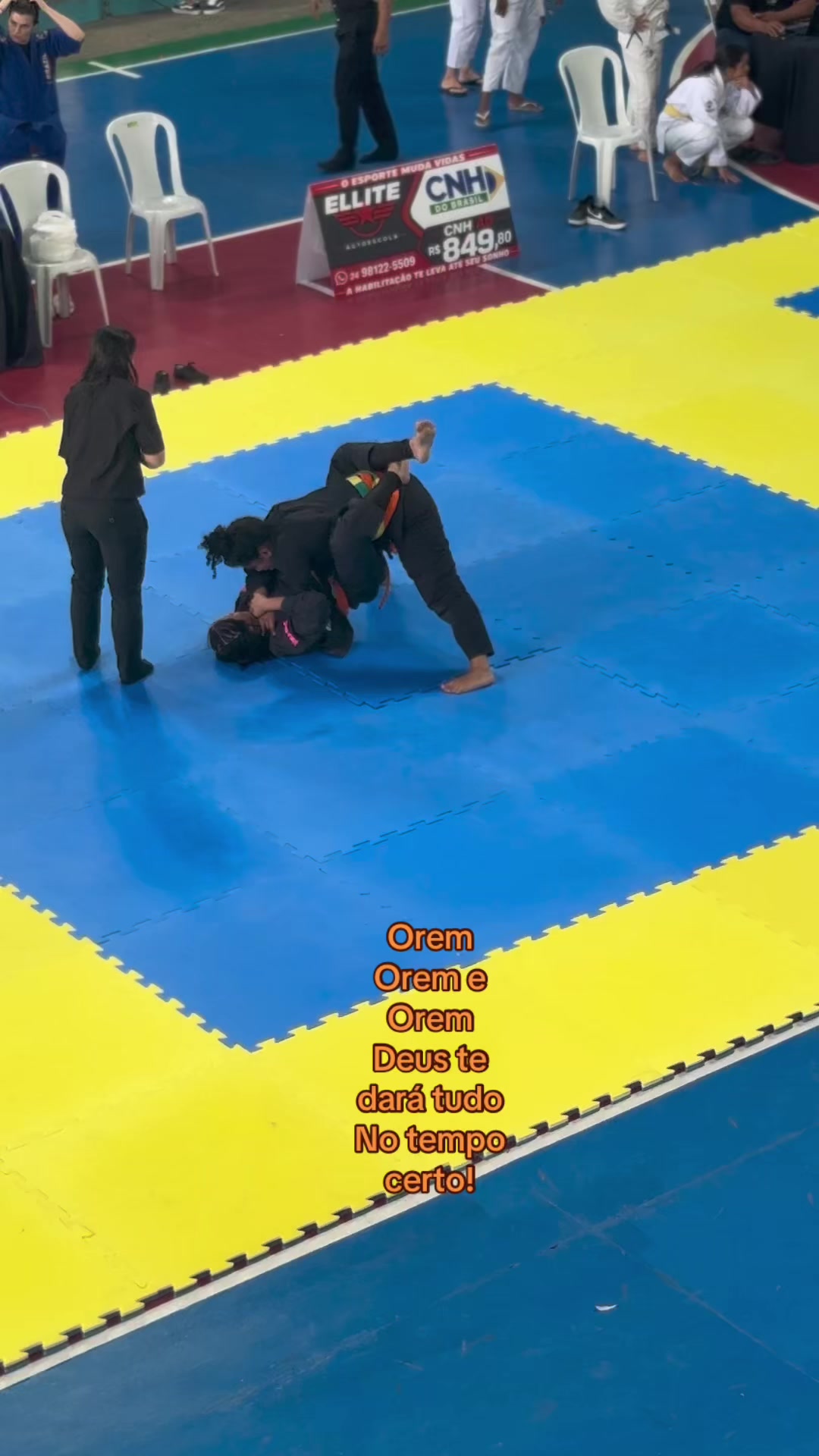 @👑BJJ por aki pow🥋⚡️
