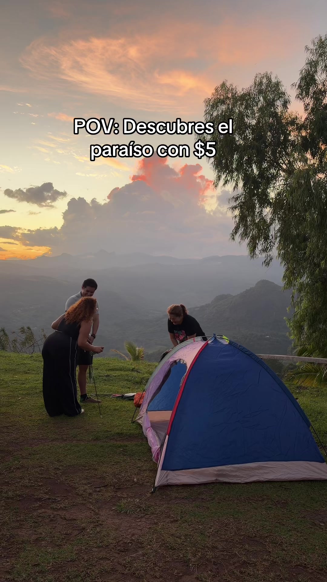 @Laliconsumelocal