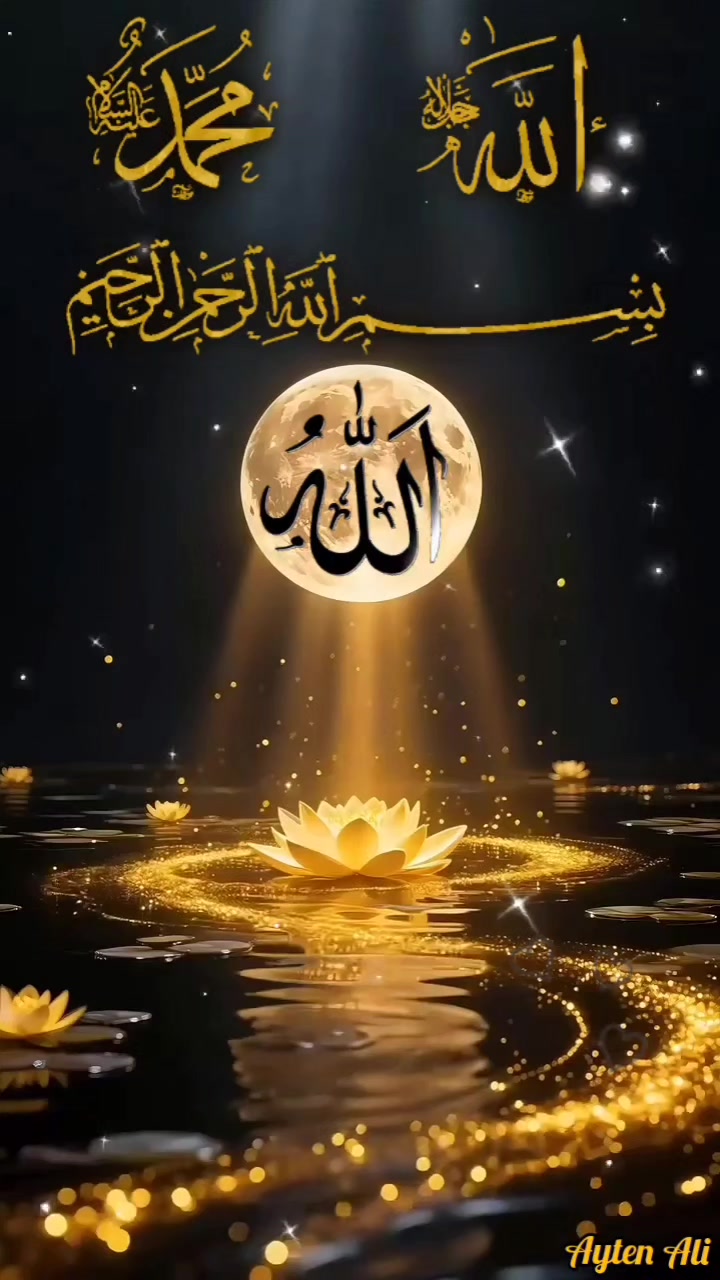 @Rana Awais92089