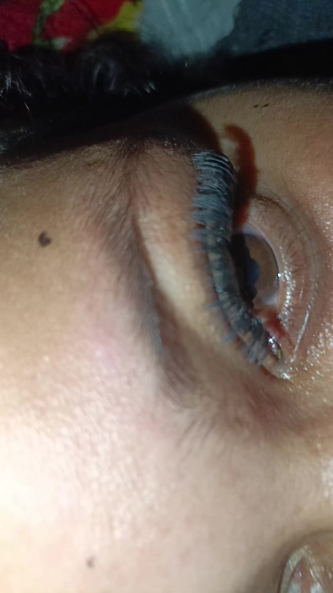 @adriele.ofc