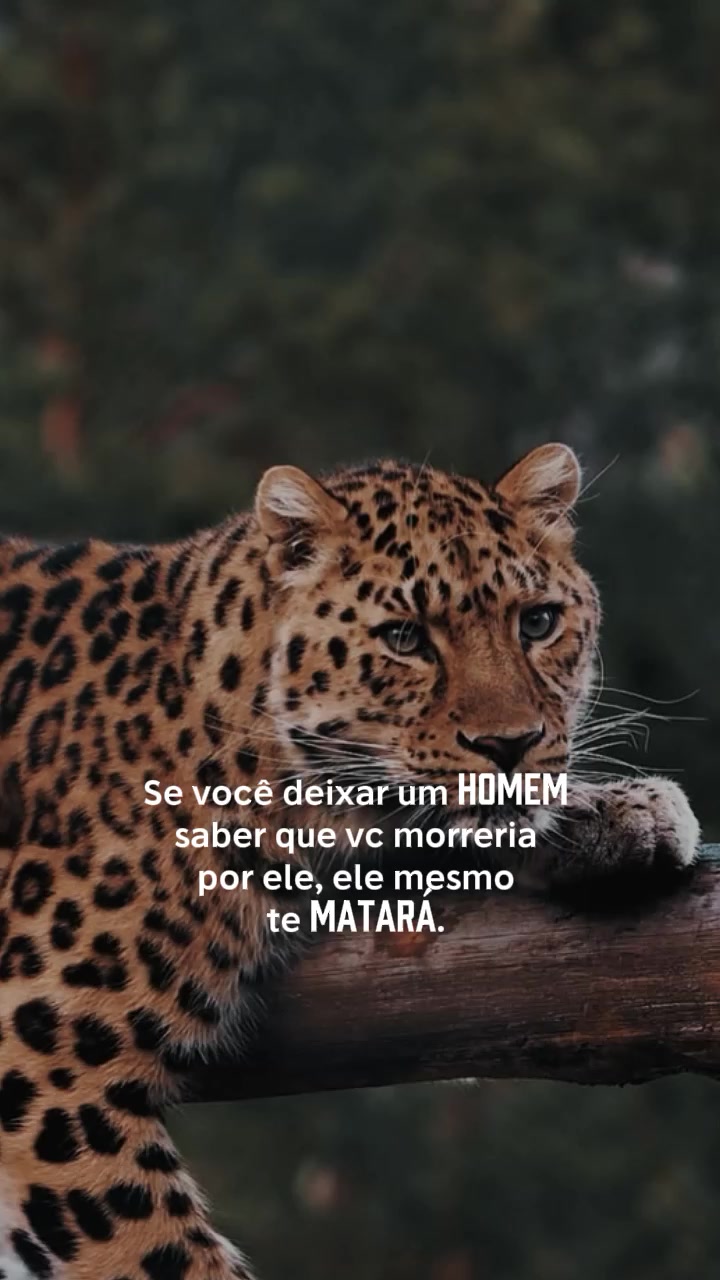 @𝙁𝙚𝙡𝙞𝙣𝙖.𝙈𝙚𝙣𝙩𝙚96🐆❤️