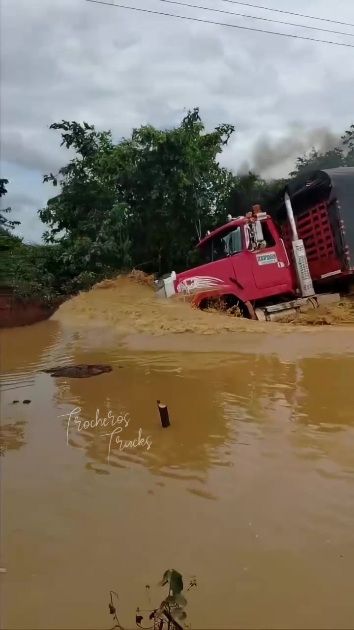 @Trocheros Trucks