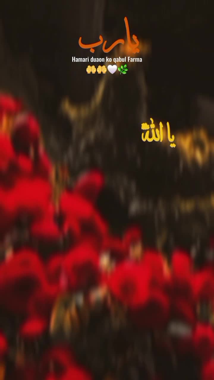 @Mrs Ramzan...🤍