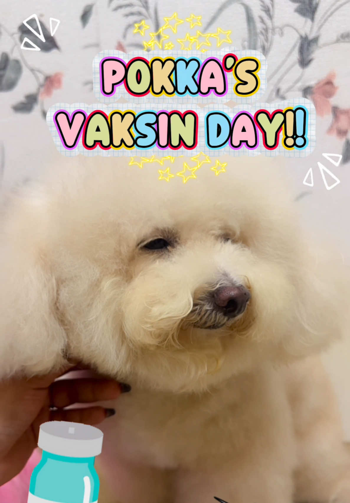 @Fika | Mamoy 14 Anak Bulu🐶