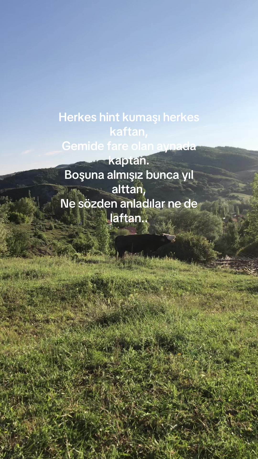 @Cengizhan Yıldırım