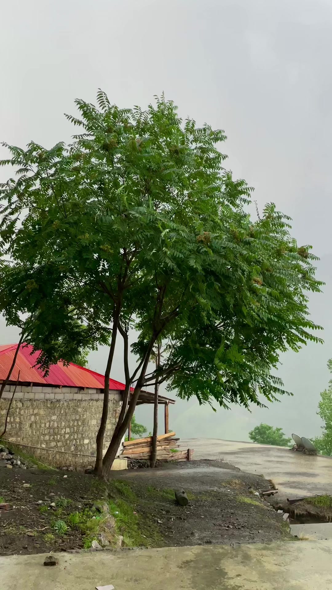 @BANJARA