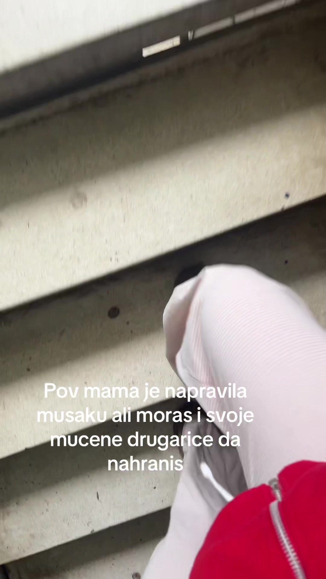 @elena