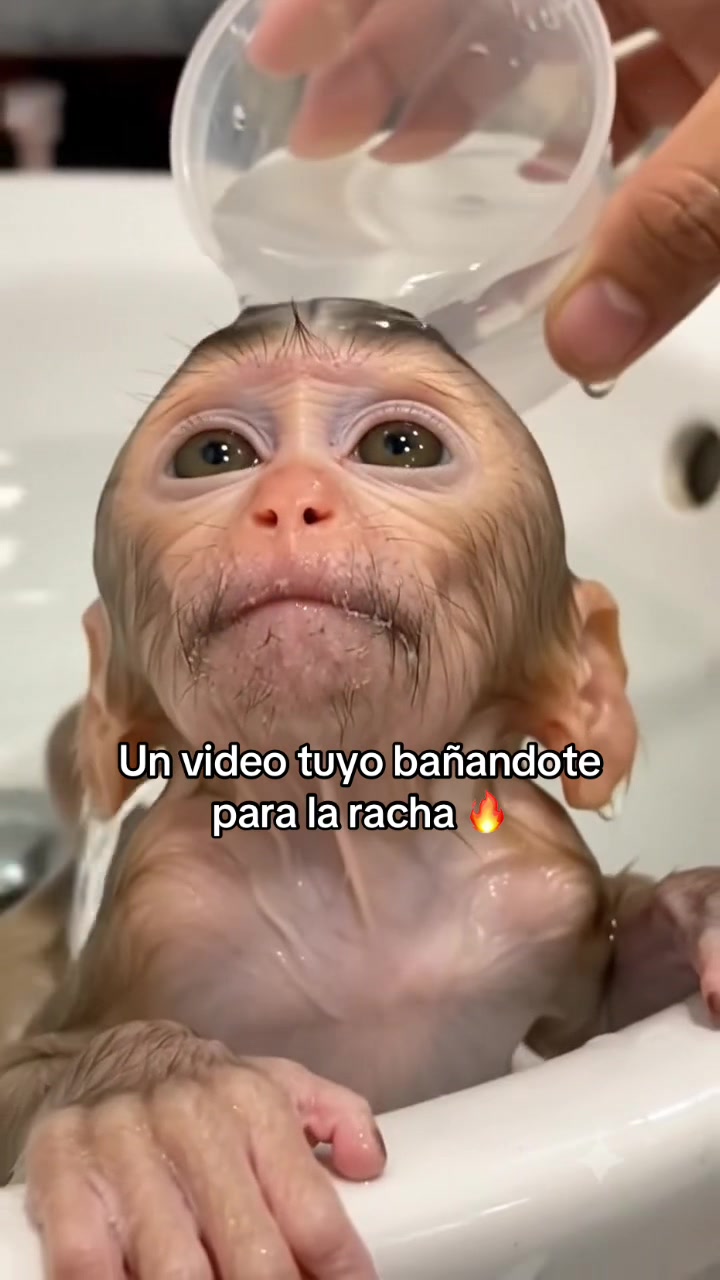 @RabPesito 🔥