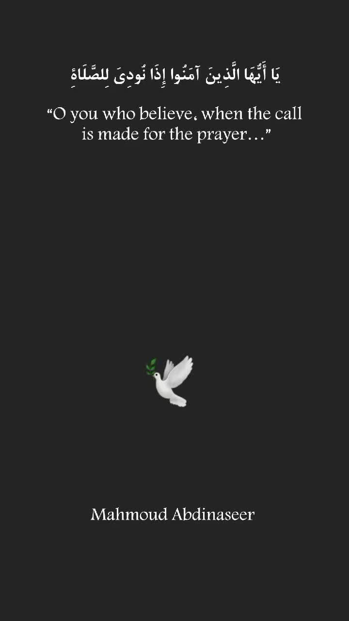 @Mahmoud Abdinaseer 🕊